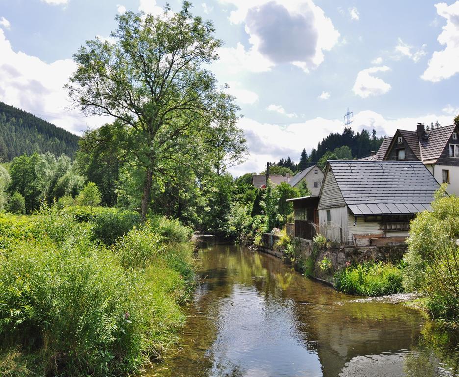 Oberweißbach Flair-Hotel Waldfrieden מראה חיצוני תמונה