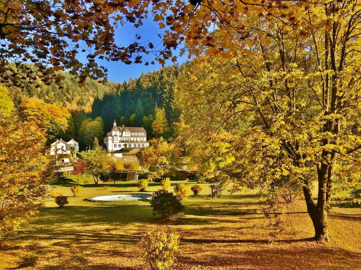 Oberweißbach Flair-Hotel Waldfrieden מראה חיצוני תמונה